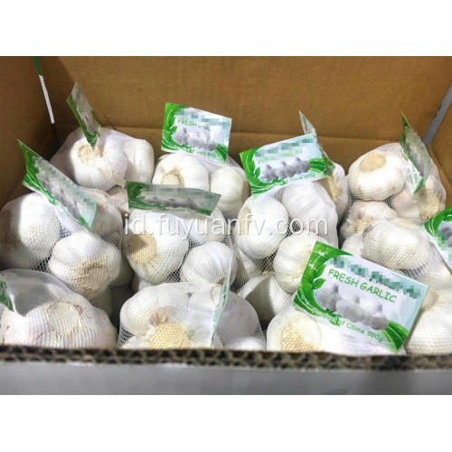 2018 jual panas putih bawang putih bersih normal